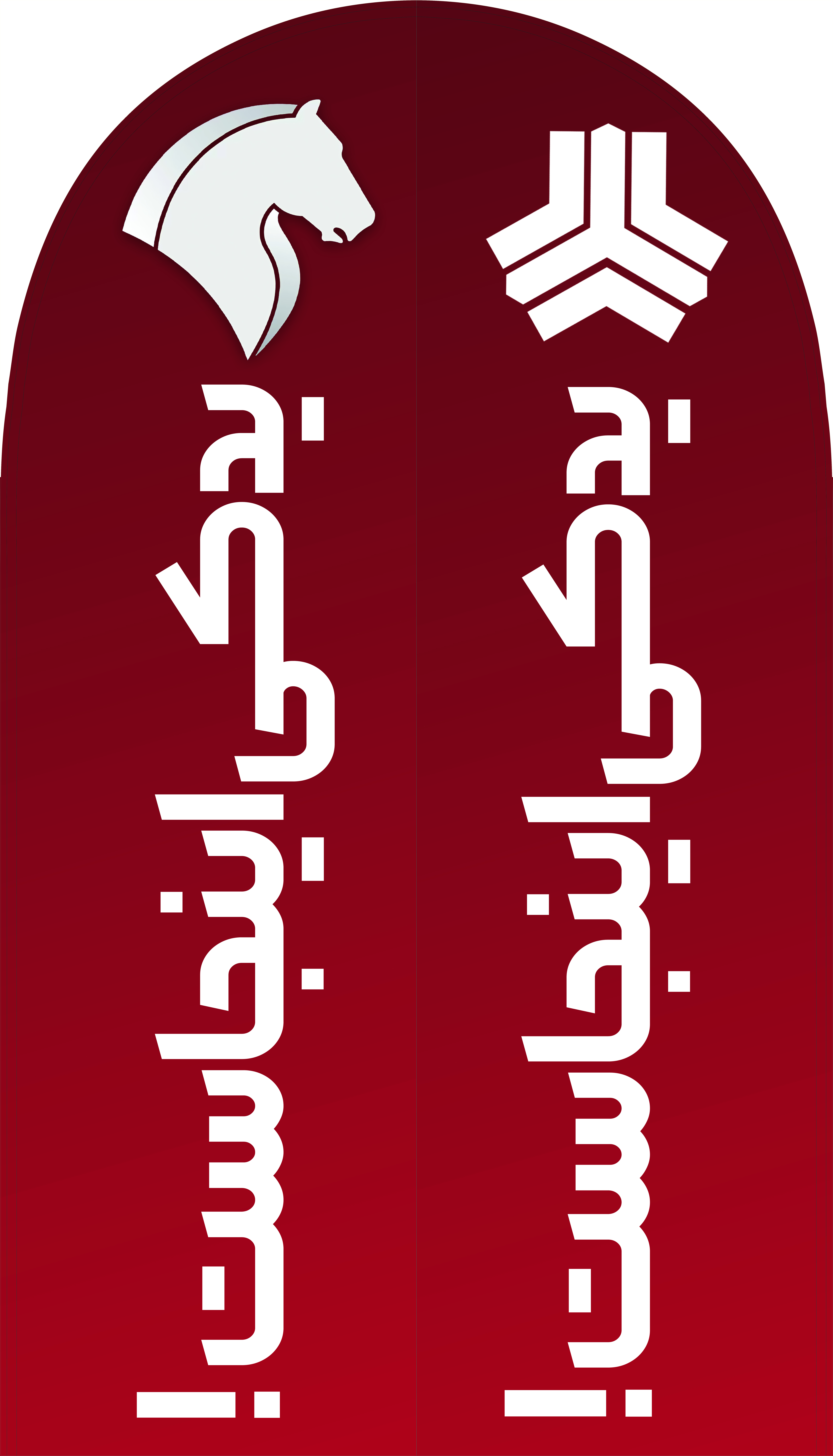پرچم ساحلی
