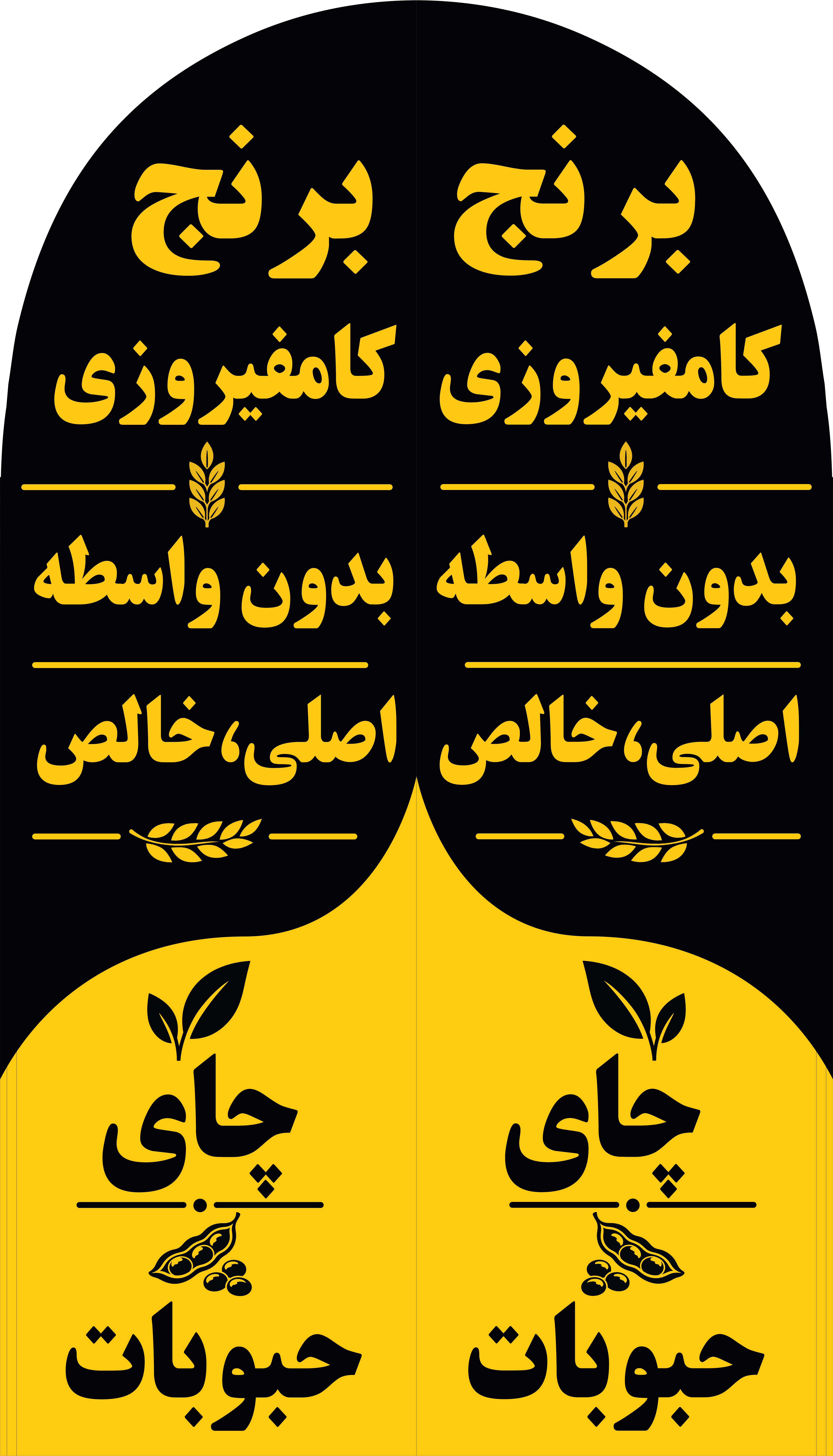 پرچم ساحلی